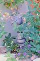 bild: Raku 8