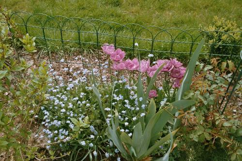 bild: Garten,linke Seite