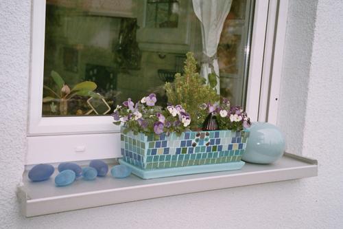 bild: Küchenfenster